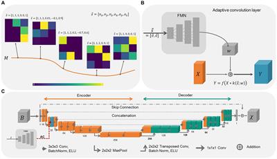 Incorporating a-priori information in deep learning models for quantitative susceptibility mapping via adaptive convolution